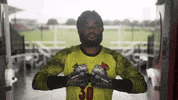 University Of Louisville Go Cards GIF by Louisville Cardinals