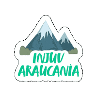 Injuv Chile Sticker by INJUV