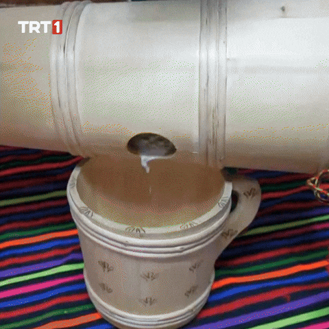Baby Eat GIF by TRT