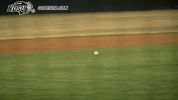 north dakota state baseball GIF by NDSU Athletics