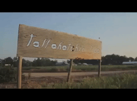 mississippi GIF