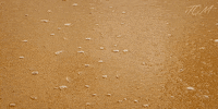 Bitcoin Crypto GIF by RGT Cycling