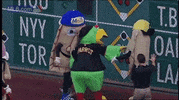 GIF by MLB