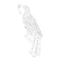 Art Design Sticker by EverGreene Architectural Arts