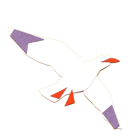 Bird Idk Sticker by Hayden Davis