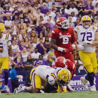 College Sports Football GIF by LSU Tigers