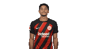 Eintracht Frankfurt Nod Sticker by Bundesliga