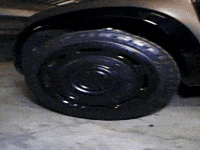 Wolf Bass GIF by IDK
