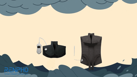 Fitness 3D GIF by RENPHO