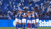 Football Zusammen GIF by FC Schalke 04