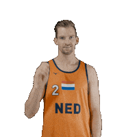 Dutch Team Beach Sticker by Nevobo