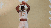 GIF by Georgia Tech Yellow Jackets