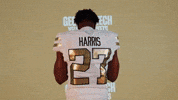Georgia Tech Football Sport GIF by Georgia Tech Yellow Jackets