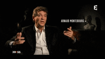 arnaud montebourg wtf GIF by franceinfo