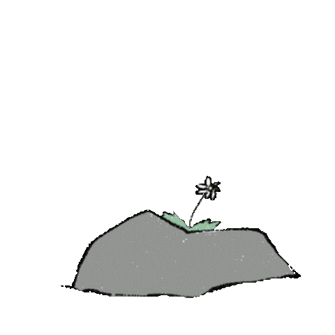 Stone Sticker