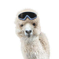 Llama Alpaca Sticker by Chris Burkard