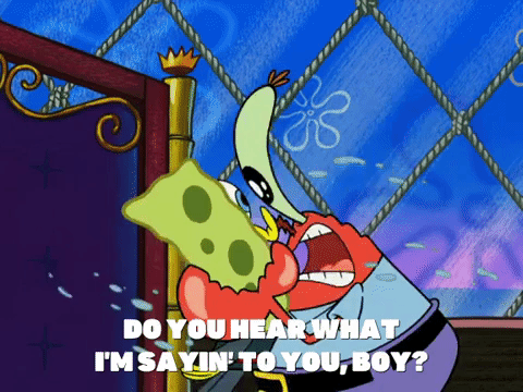 season 5 to love a patty GIF by SpongeBob SquarePants