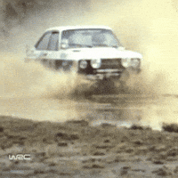 Ford Kenya GIF by FIA World Rally Championship