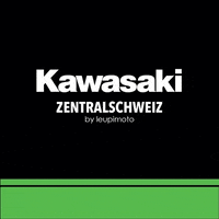 Honda Zurich GIF by Leupimoto