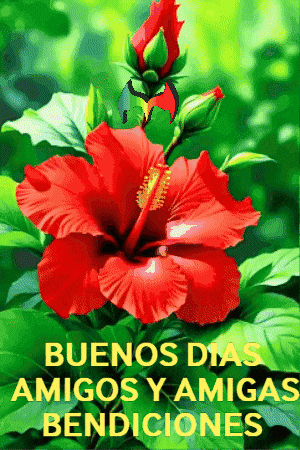 Amigos Buenos Dias GIF by Murcianys LLC