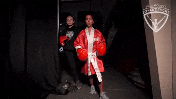 allroundchampiontv boxing punch olympics boxer GIF