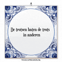 Wijsheid Spanning GIF by Tegelspreuken.nl