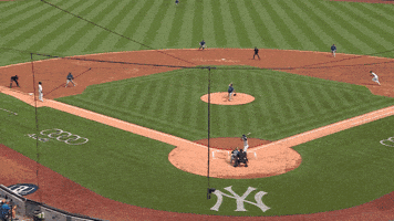 Blue Jays Catch GIF by Toronto Blue Jays