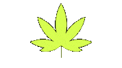 WeedFeedOfficial smoke weed cannabis joint Sticker