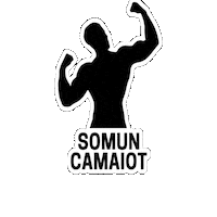 Mallorca Cama Sticker by tolo