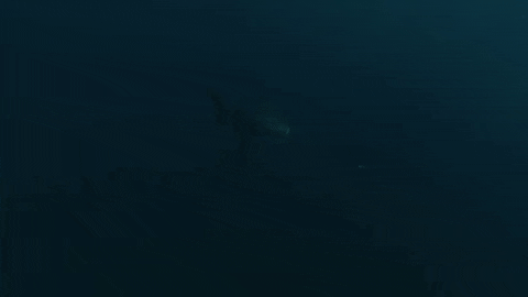 Coming On My Way GIF by Shark Week