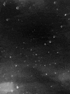 rain raining GIF