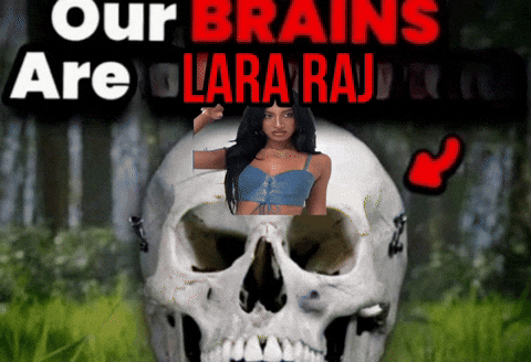 Lara Stan Twitter GIF