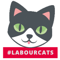 uklabour vote election socialism labour Sticker
