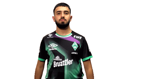 Esports Fifa Sticker by SV Werder Bremen
