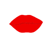 Art Love Sticker by Disetti Playlist