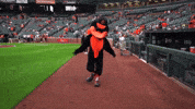 Come At Me Major League Baseball GIF by MLB