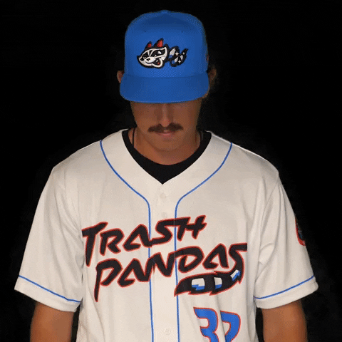 Nick Jones Baseball GIF by Rocket City Trash Pandas