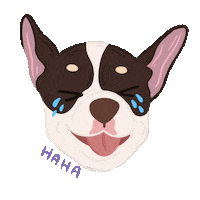 Dog Laugh Sticker by Ann of Facedit