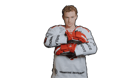 Trinec Sticker by HC Oceláři Třinec