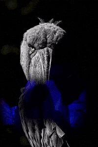 Angry Hands GIF