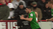 Soccer Futbol GIF by Brighton & Hove Albion Football Club