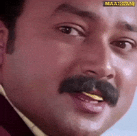 Sight Eyesight GIF