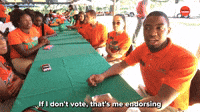 If I Don't Vote