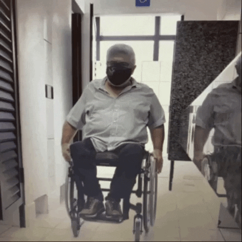 patrciademoraisdellajustina giphyupload GIF