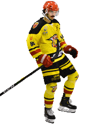 meudonhockeyclub hockey mathieu meudon comètes Sticker