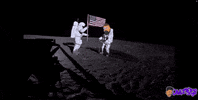 Deeznutsnft GIF by Deez NFTs