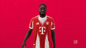 Fc Bayern Hello GIF by Bundesliga