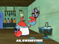 season 6 gullible pants GIF by SpongeBob SquarePants