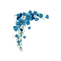 Flower Frame Sticker by Nanda Filtros