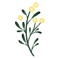 Flores Sticker by byflorecer